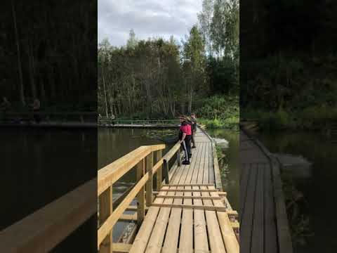 Kymijoki - Korkeakoski lohi kalastus 28.08.2021