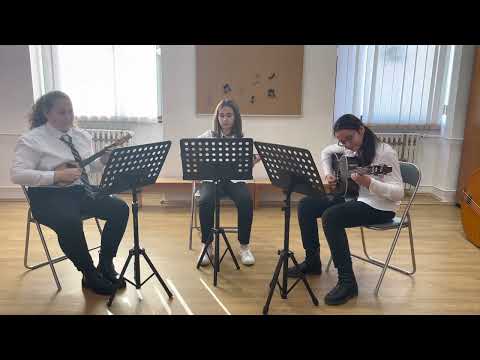Trio tambura Glazbene škole Milka Kelemena, Slatina
