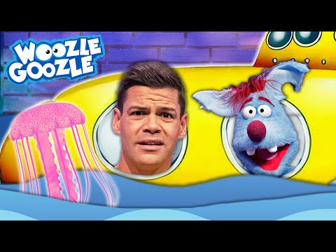 Was kann man im Meer entdecken? l WOOZLE GOOZLE