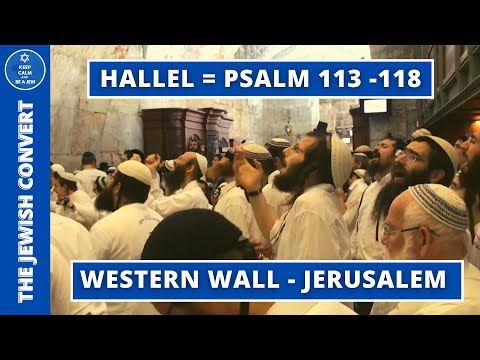 HALLEL at The Western Wall | Psalm 113-118 | English Subtitles
