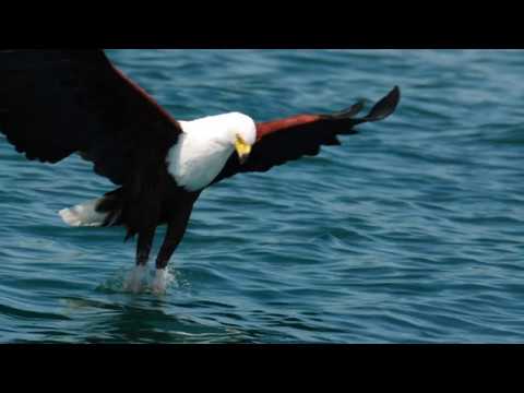 TIK LIETUVIŠKAI 6 - MALAWI (1) LAKE MALAWI - Malavio ežeras  (English @ CC)