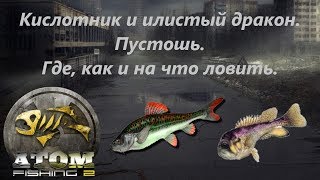 Atom fishing 2 где ловить илистого дракона