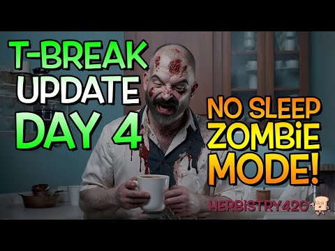 T-Break Week 1 Update — What the First 4 Days Really Feel Like