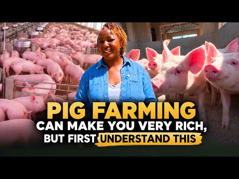 She Has Made Money Keeping Pigs for 15 Years & Shares What It Takes to Succeed in Pig Farming | LNN