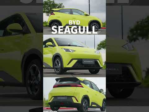 Top 5 Most Popular Cars According to Women