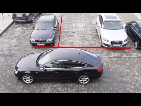 La scuola guida non ha mai trattato questo argomento!