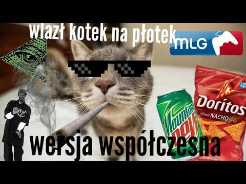 WLAZŁ KOTEK NA PŁOTEK(PARODIA WSPUŁCZESNA)
