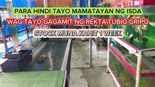 PARA HINDI MAMATAY ANG ISDA, DAPAT STOCK WATER ANG GAMITIN