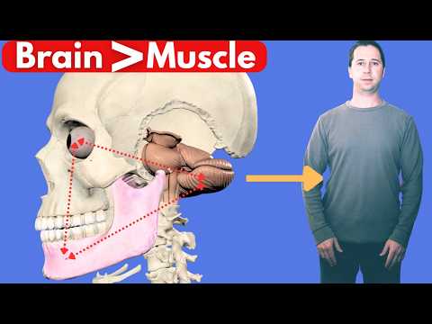 Die drei Systeme, die die Körperhaltung bestimmen (es sind NICHT die Muskeln).
