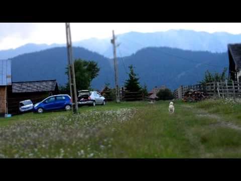 pensiunea-gentiana-pestera-30iunie2012