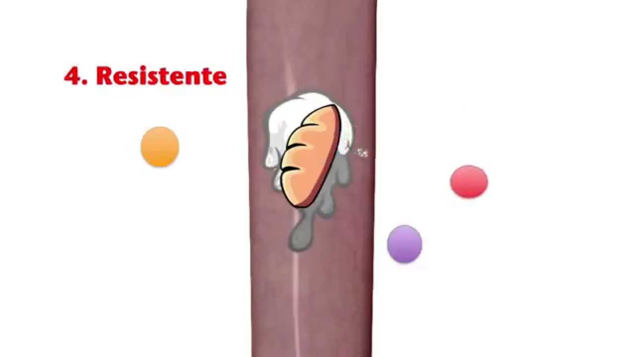 Cap 64 : Funciones secretoras del tubo digestivo