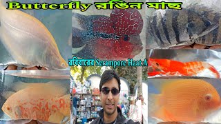 Butterfly মাছ শ্রীরামপুরের হাটে | Aquarium Fish Serampore Accessories | Serampore Pet Haat | Fish 