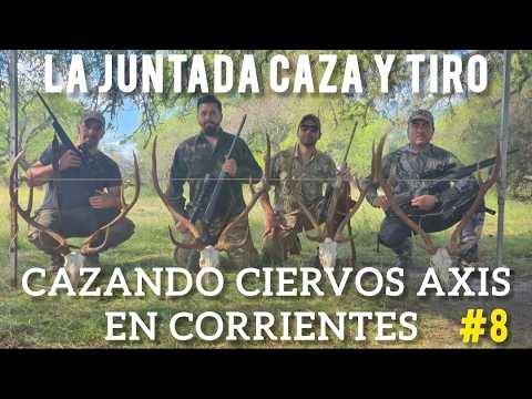 4 DÍAS CAZANDO CIERVOS AXIS EN CORRIENTES