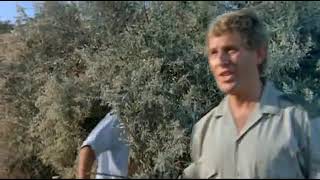 Download lagu FILM LUCU TERSESAT DI DALAM Hutan Afrika mp3