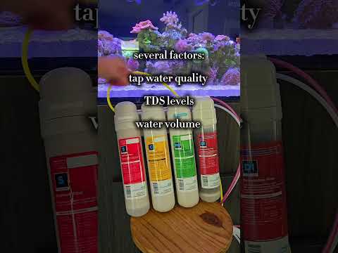 My 4 Stage RODI system that allows me to make RO/saltwater at home. 🌊✨️ #reeftank #saltwatertank