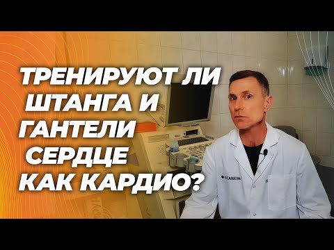Тренировка в зоне 2 против силовых: тренируют ли штанга и гантели сердце как кардио? Тренировка в зоне 2 против силовых: тренируют ли штанга и гантели сердце как кардио?