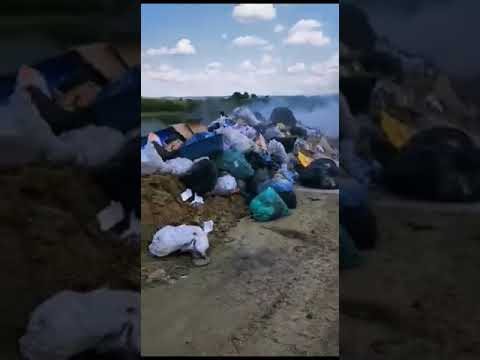 Sat Chilișeni, com. Udești - judet Suceava ..dezastru ecologic