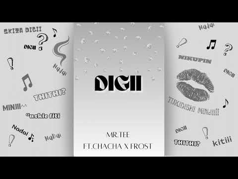 MR.TEE - DIGII FT. FROST X CHACHA (OFFICIAL AUDIO)