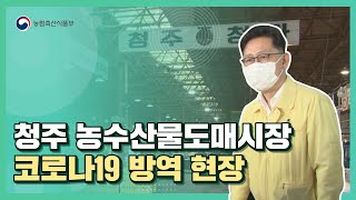 청주 농수산물 도매시장 코로나19 방역 현장