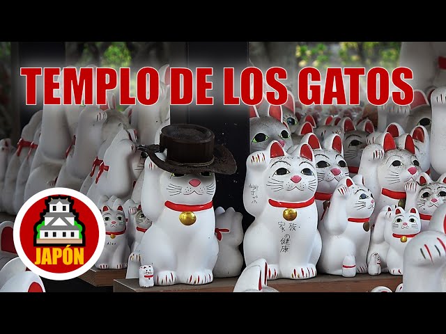 Vídeo relacionado con Goodwei Maneki Neko - Afortunado japonés del Gato de Porcelana con Dos Campanas - Porcelana Muy ornamentado (M)