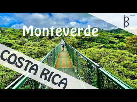 Monteverde 🇨🇷 Costa Rica 4K | Ziplining and Hanging Bridges | Part 8