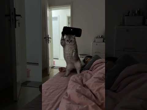 MOTIVASIONAL TUNUYAN MENDOZA ARGENTINA