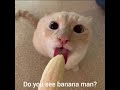 Banana man #funnyvideo
