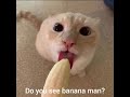 Banana Man Funnyvideo