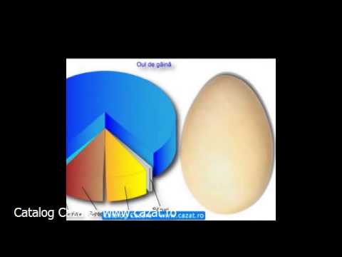 Cazare Mogosesti, Valcea - Cazat.ro