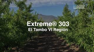 Video Extreme® 303