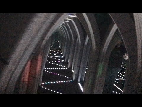 TDW 1500 - Get Me Out Of Here !