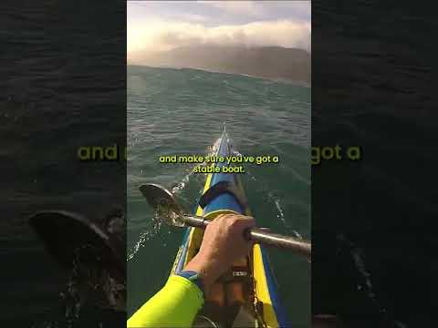 Surround yourself with reliable people!