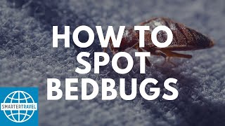How to Spot Bedbugs | SmarterTravel