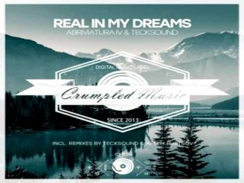 Abriviatura IV, TeckSound - Real In My Dreams