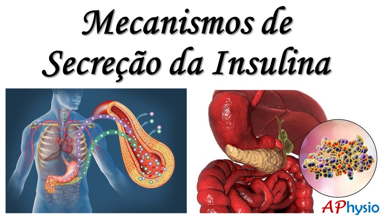 Mecanismos de Secreção/Liberação da Insulina
