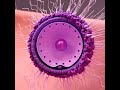 Embryo Development _Become a baby 🍼