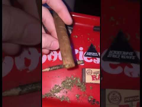 Fat Backwood   2 Dutch masters