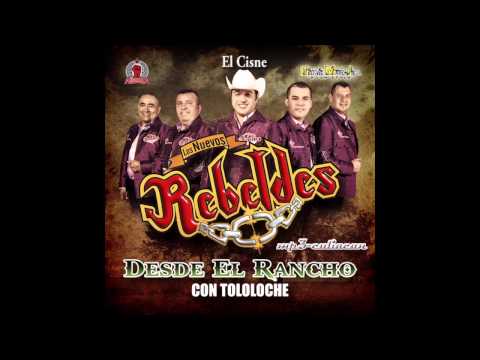 Los Nuevos Rebeldes - El Cisne (Desde El Rancho Con Tololoche 2013)