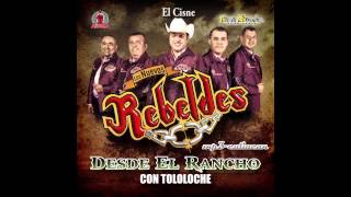 Los Nuevos Rebeldes - El Cisne (Desde El Rancho Con Tololoche 2013)