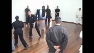 preview picture of video '2012.Mai, Bujutsu Dojo Portugal, Louriçal Seminar (Part 02)'
