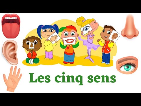 les cinq sens en français 👃, 😛 , 👀 ,  👋 ,  👂