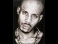 DMX Party Up 