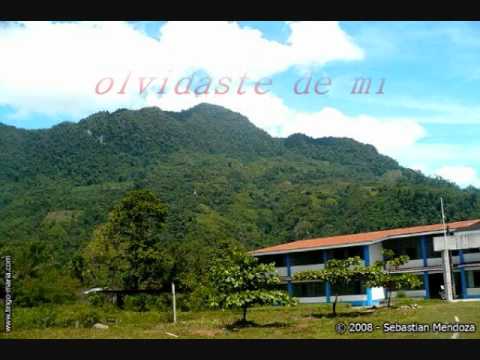 Los Hijos de La Bella - Enseñame a olvidar