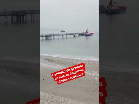 el muelle de puerto Angamos este lugar maravilloso en mejillones Chile,región de Antofagasta