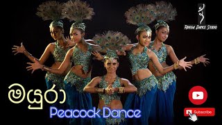 Mayura  Peacock Dance  Rivega Dance Studio  Rangik