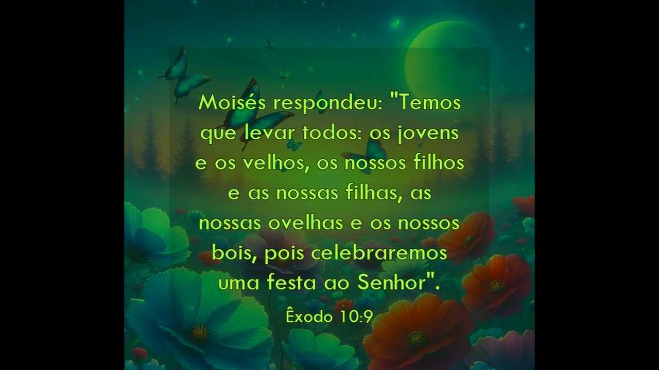 O DEVER DE PAI E MÃE---P-07---17---12---2024