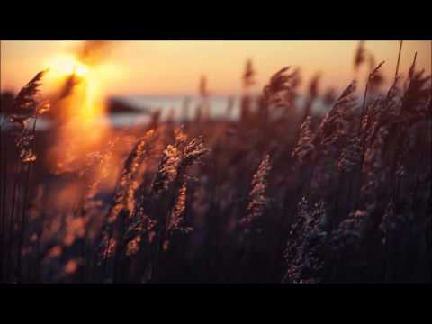 Glenn Morrison - Contact (Renaldas Remix)