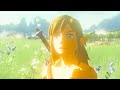 TOTK Ending Cutscene: Link’s smile hidden out of bounds! (found by mistress-light)