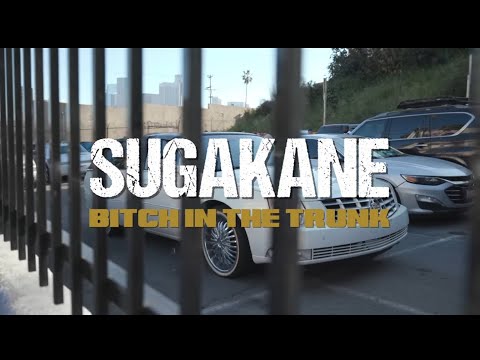 B**** in the Trunk (Official Video)