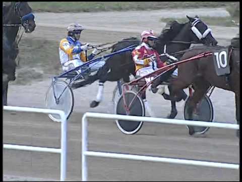 Trotto 26/10/2014 - 5° corsa